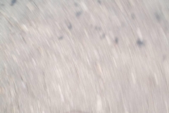 rajd06_021