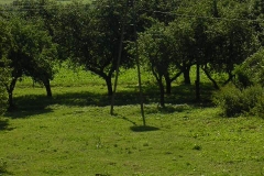 rajd06_201