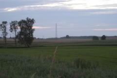 DSCN2320