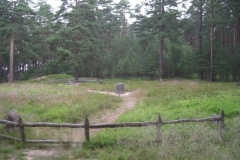 DSCN2354