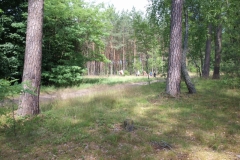 P6294572
