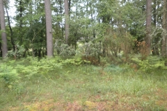 P6280060