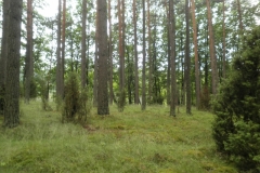 P6280063