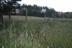 P6290097