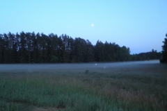 P6290099