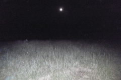 P6300114
