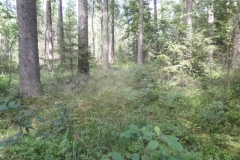 P6300151